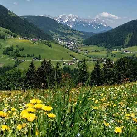 Luisalle * Auffach